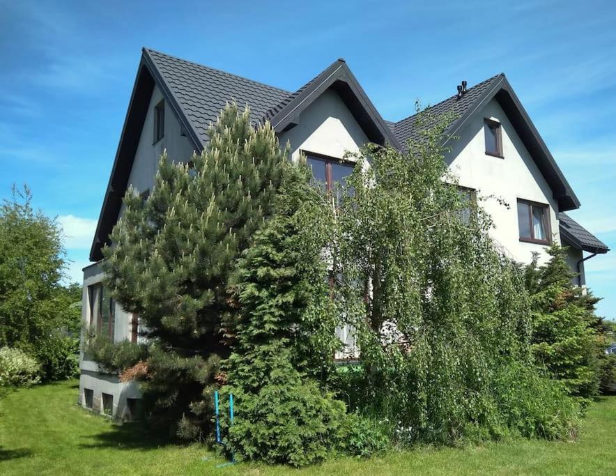 Przytulny Z Ogrodem Apartment *